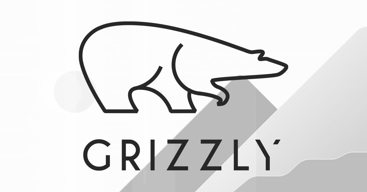 Grizzly GmbH Werbeagentur Graz Websites, Apps & mehr